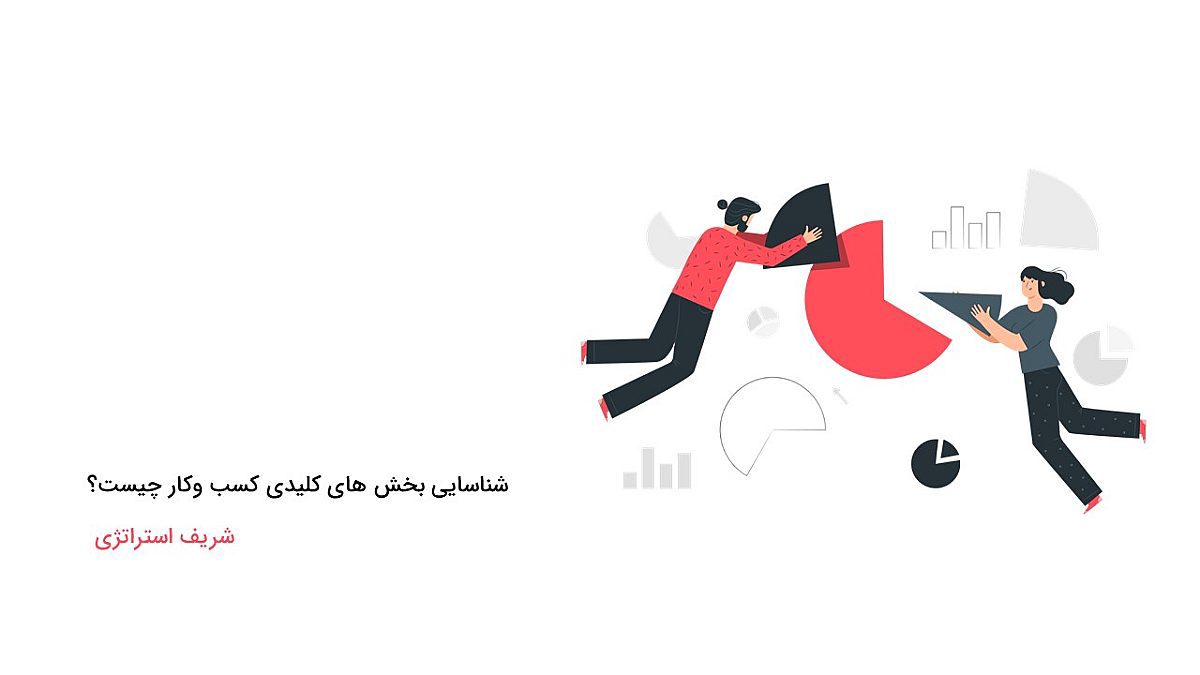 شناسایی بخش های کلیدی